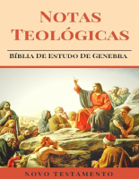 Notas Teológicas Novo Testamento.pdf